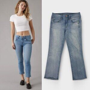 American Eagle Low Rise Artist Crop Jeans